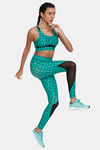 Zelocity Quick Dry Gym Leggings - Green Spruce — thumbnail 4